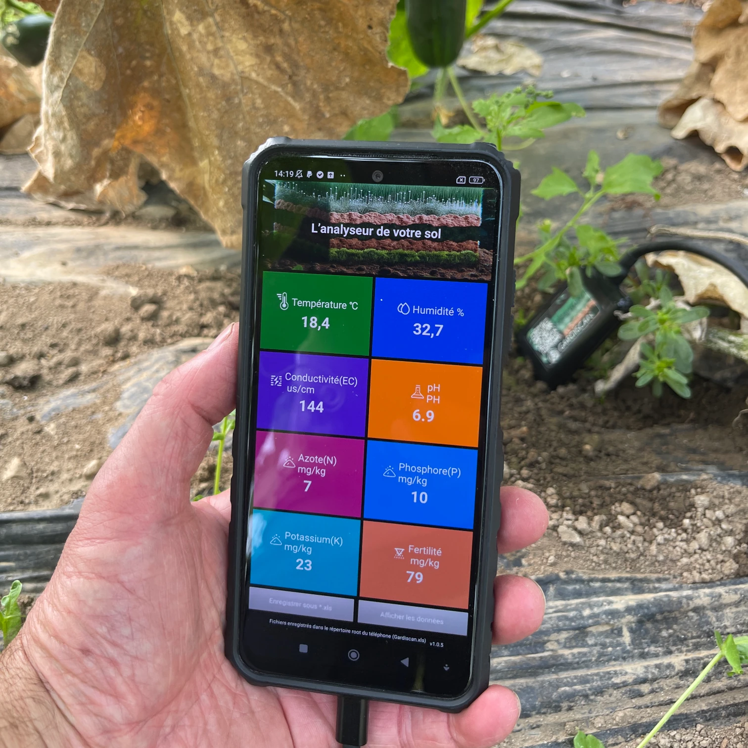 Mesures de la fertilité d'une planche de concombre en serre de maraîchage.