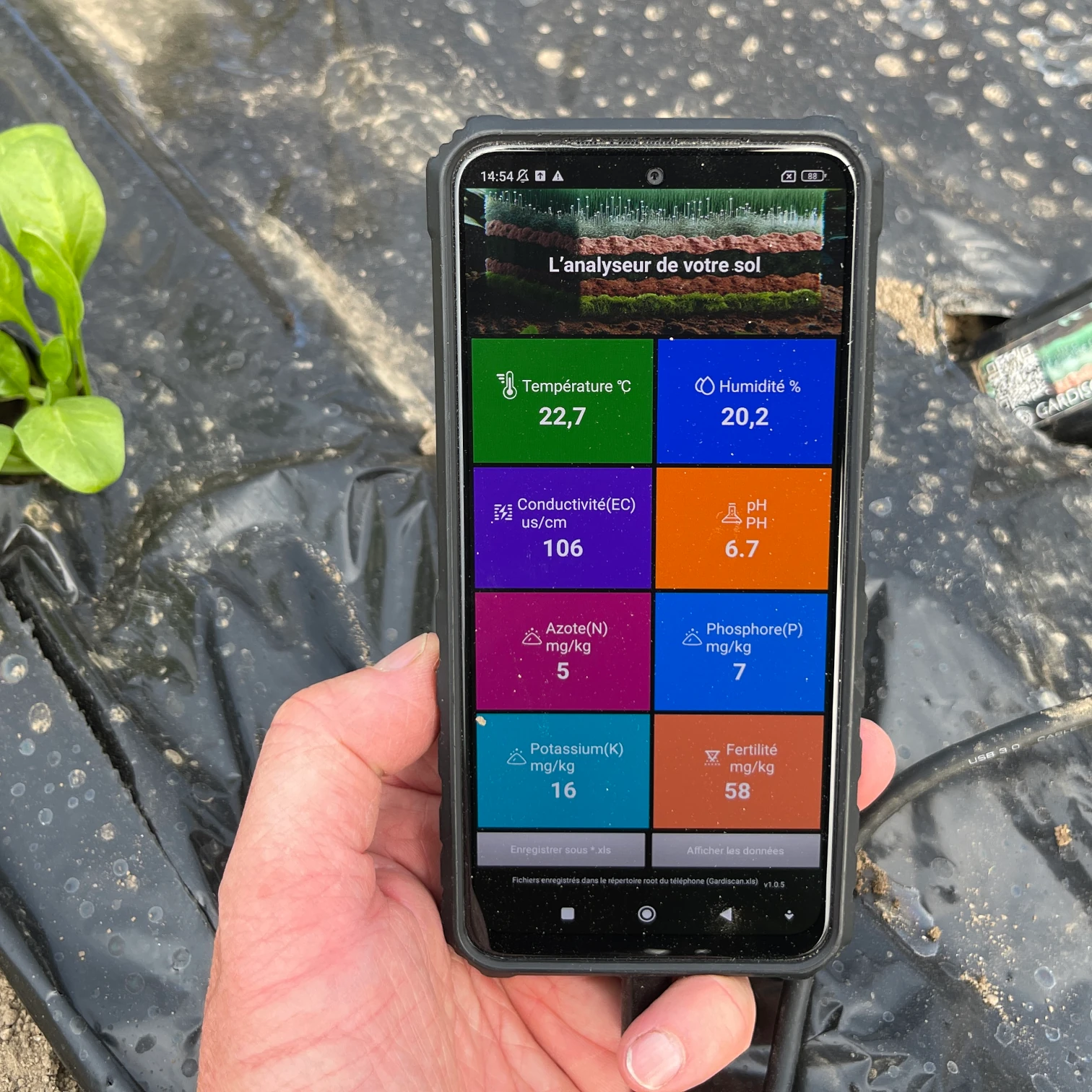 Mesure des valeurs de fertilité pour une planche d'épinards. Une nouvelle serre à l'emplacement d'une pâture pour les vaches.